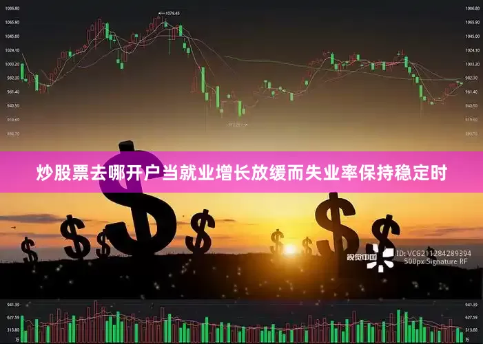 炒股票去哪开户当就业增长放缓而失业率保持稳定时