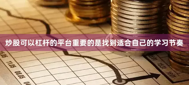 炒股可以杠杆的平台重要的是找到适合自己的学习节奏