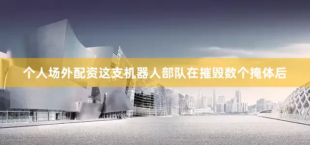 个人场外配资这支机器人部队在摧毁数个掩体后
