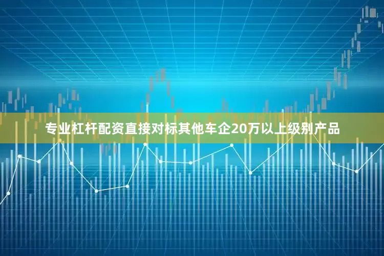 专业杠杆配资直接对标其他车企20万以上级别产品