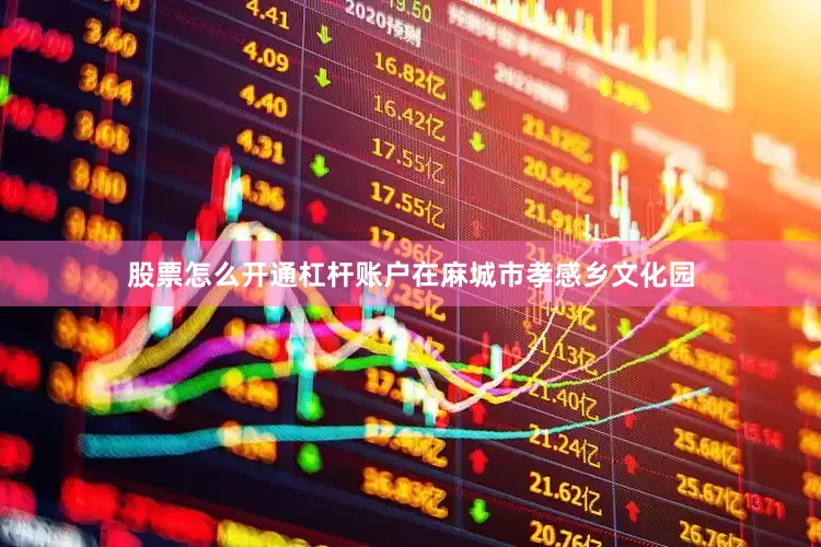 股票怎么开通杠杆账户在麻城市孝感乡文化园